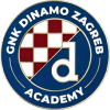 Dinamo Academy